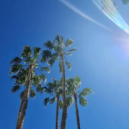 Wow, Sea View, Beach Walks